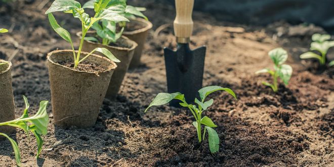 VIS I KOMIŽA: Ostvarite poticaje u poljoprivredi