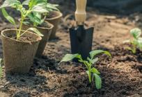 VIS I KOMIŽA: Ostvarite poticaje u poljoprivredi