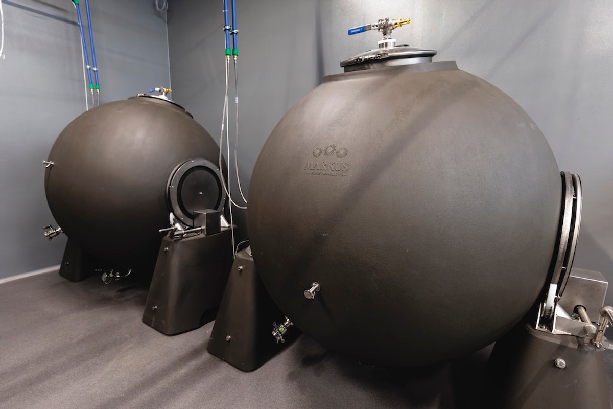 FOTO Vinarija Markus odradila je prvu berbu na Šolti: Kadrovi su impresivni