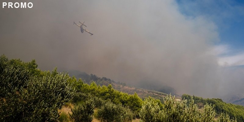 Svaki požar ima svoj početak - često je to ljudski nemar