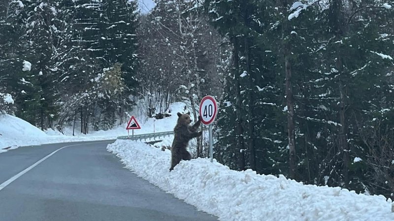 'NOVI CESTAR' Fotografija iz Gorskog kotara postala viralna, evo i zašto