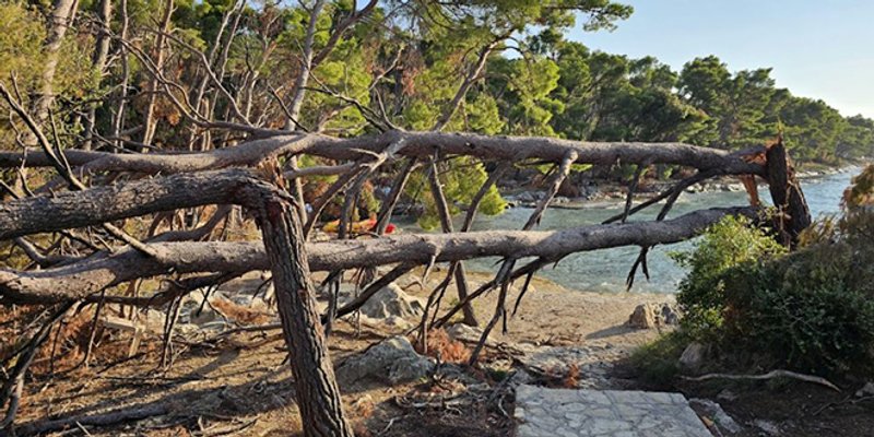 Centar traži raskid koncesije na Benama, odgovoreno im je što se radi po zakonskoj proceduri
