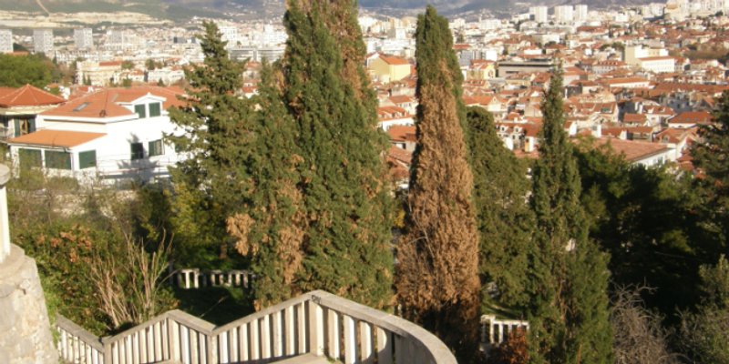 Novi ravnatelj Javne ustanove za upravljanje Park šumom Marjan bit će Damir Grubšić