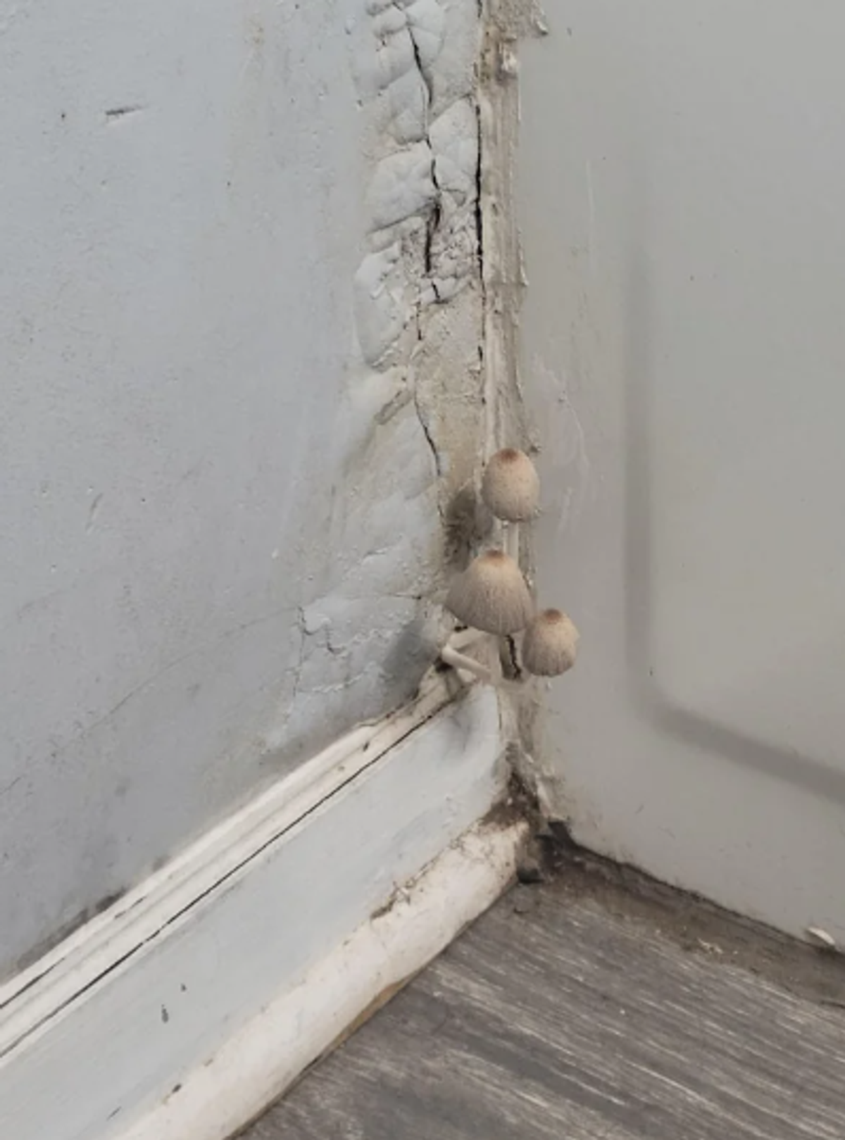 Kako se riješiti ustajalog zraka u domu a pritom uštedjeti?