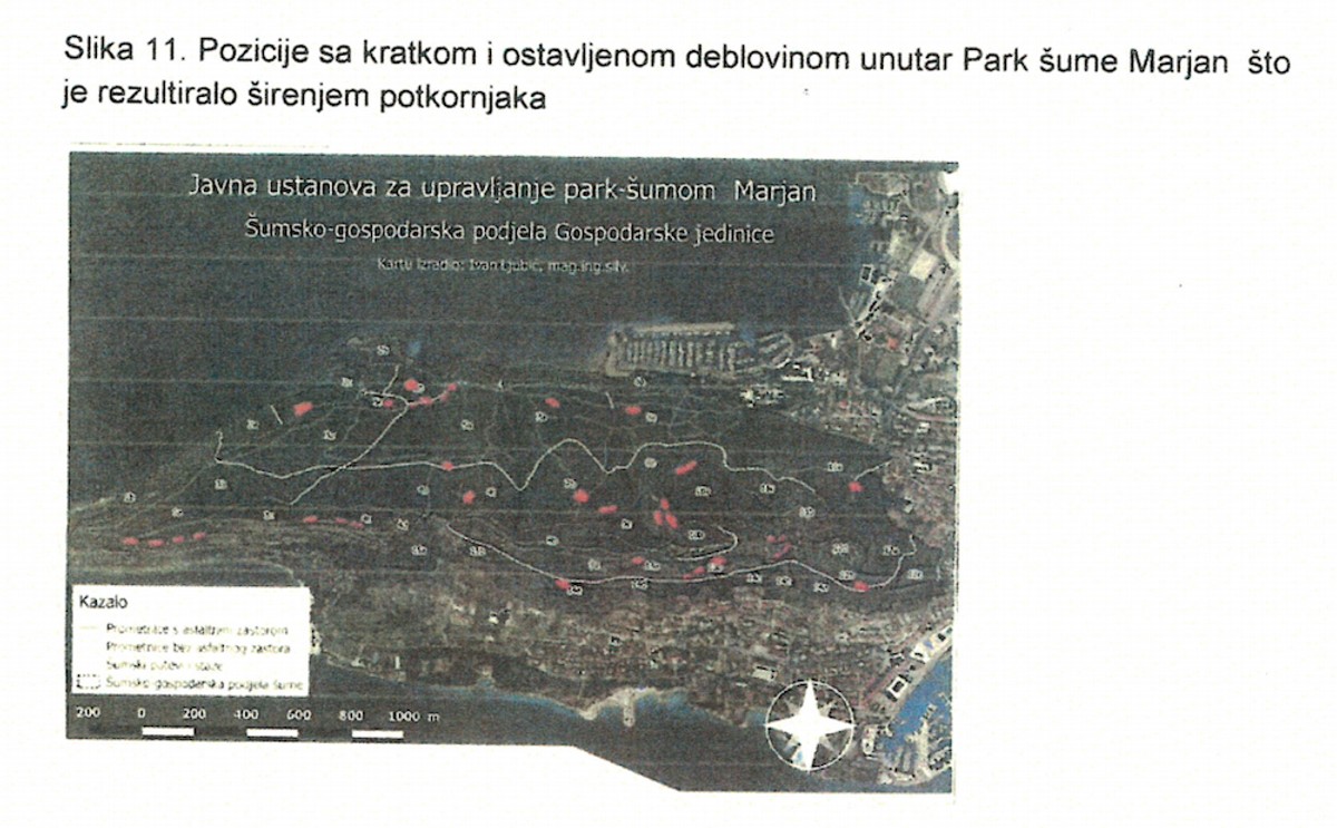 PORAZNO IZVJEŠĆE NADZORA NA MARJANU 'Radovi nisu vršeni redovito i na vrijeme, to je sigurno pogodovalo razvoju bolesti i štetnika'