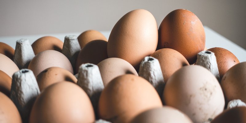 Jedan karton za jaja koristite dva puta? To može biti vrlo opasno