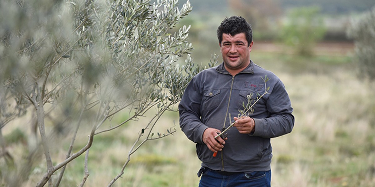 LJUBAV JE NA SELU: I Sinjanin traži životnu družicu