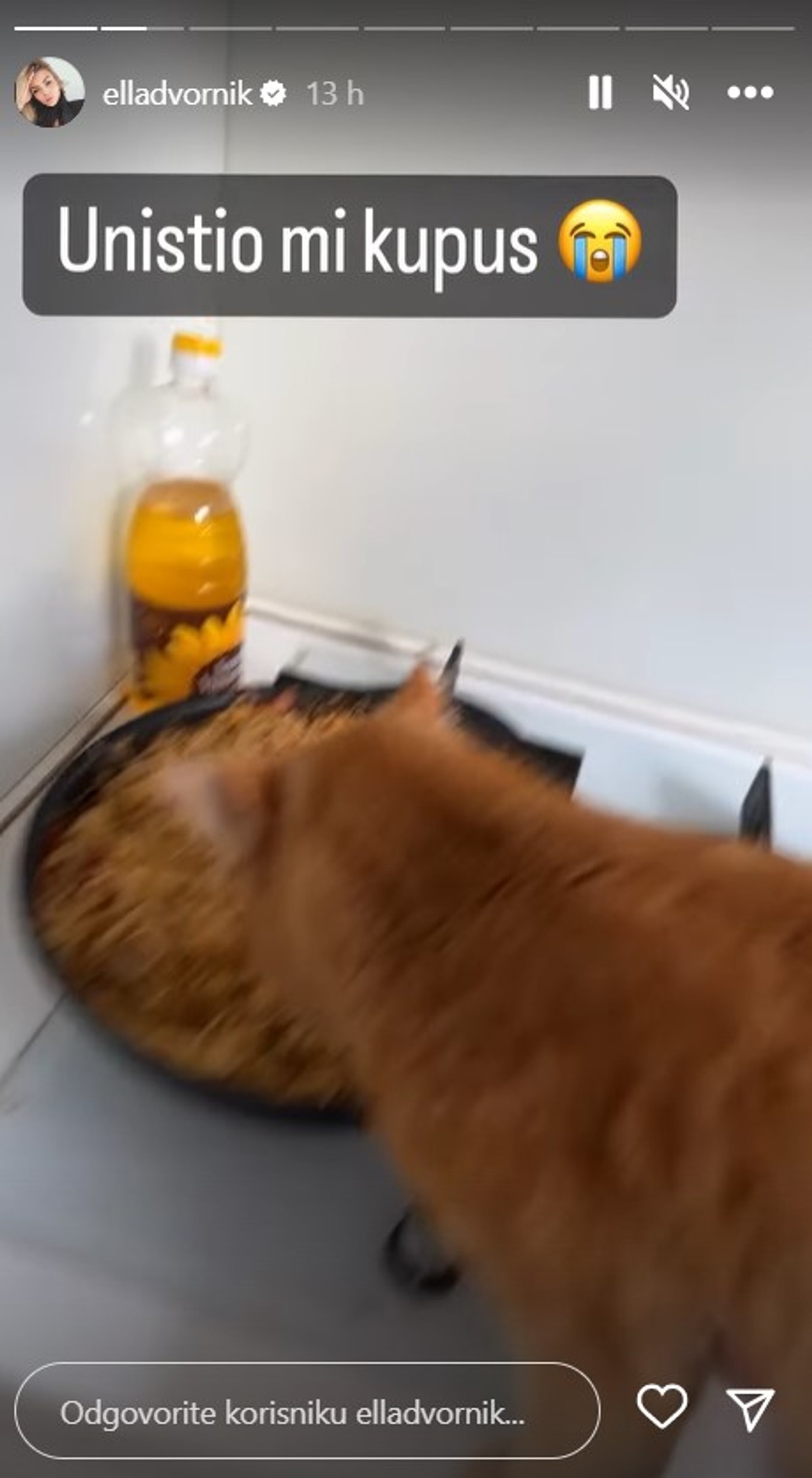 NIJE NJEN DAN Ella Dvornik ostala bez kupusa, djeca bez čarapa...