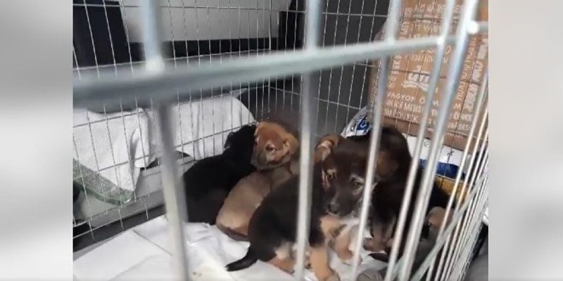 DOVEZAO POMOĆ Drele prvi saborski zastupnik koji je otišao u Ukrajinu