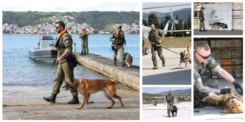 FOTO/VIDEO Predstavljene vrhunske sposobnosti vojnih pasa HV-a i NATO-a na  kopnu, moru i u zraku 