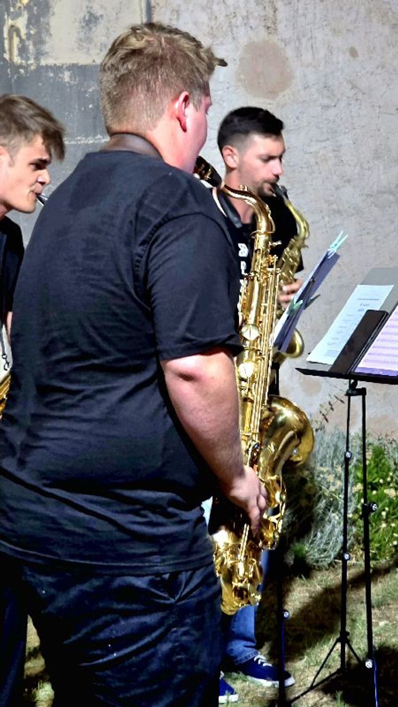 Josip Radić