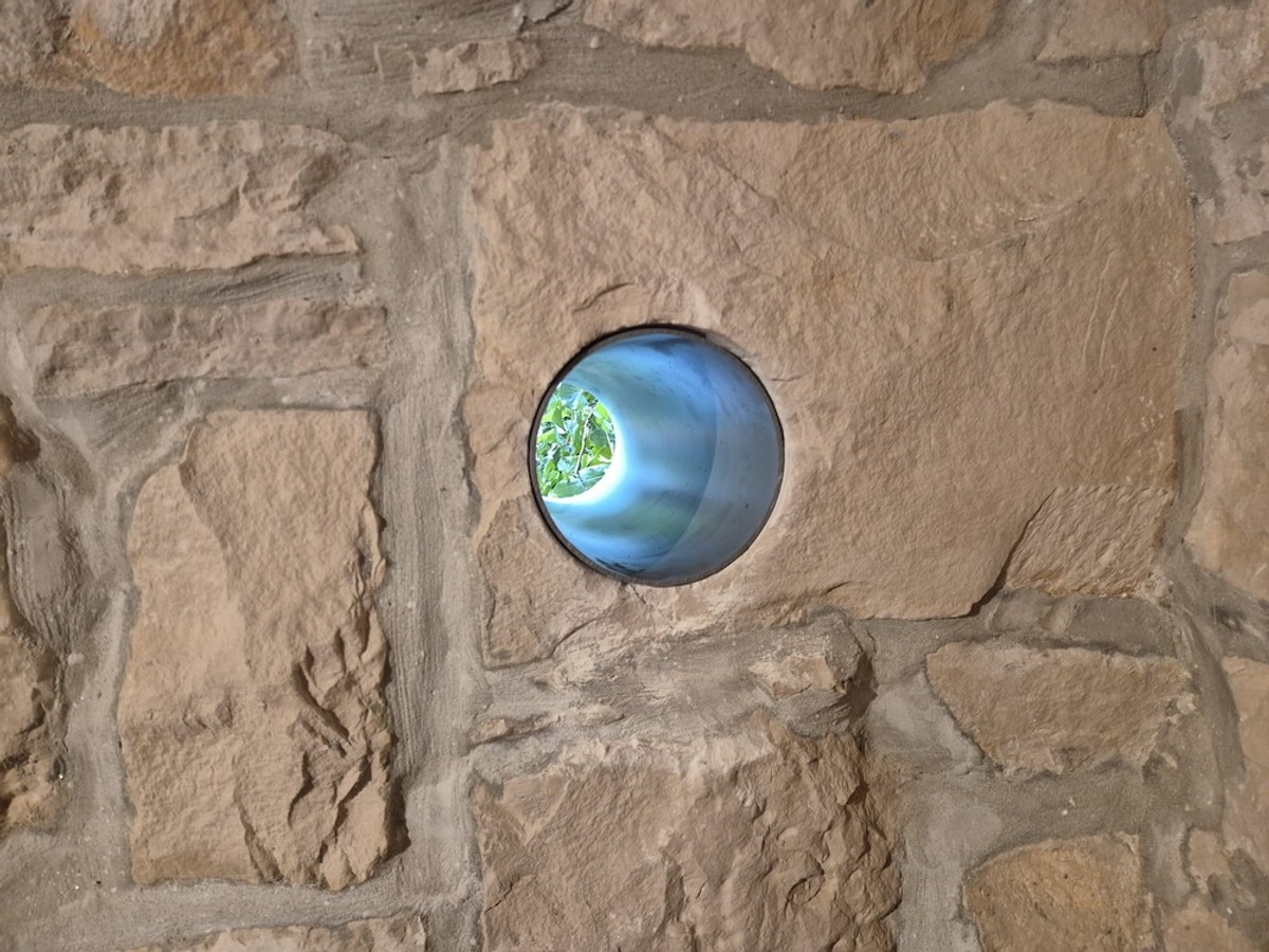 Kako je Livio iz Marčane uklonio vlagu i plijesan u svom domu i apartmanu?