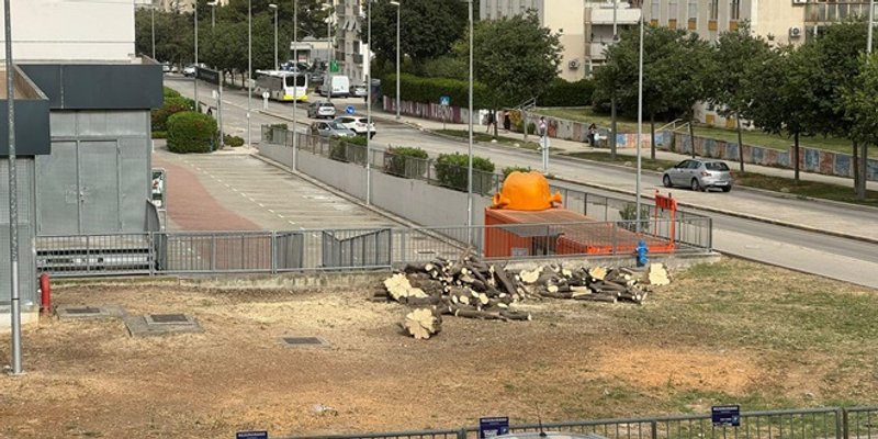 KRAJ TRGOVAČKOG CENTRA NA RAVNIM NJIVAMA Novo uništavanje stabala 