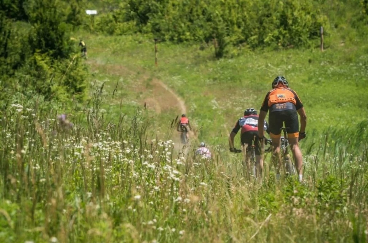 Vino opušta, priroda smiruje a djetinjstvo zove: Doživljaj više čeka vas u Bjelovarsko-bilogorskoj županiji