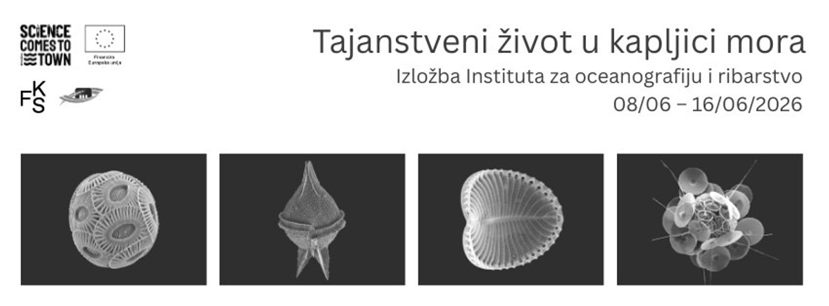 Jedinstven uvid u 'tajanstveni život u kapljici mora' u Splitu