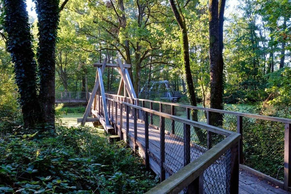 Vino opušta, priroda smiruje a djetinjstvo zove: Doživljaj više čeka vas u Bjelovarsko-bilogorskoj županiji