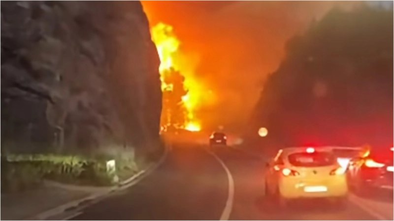 FOTO/VIDEO Planulo u Lokvi Rogoznici