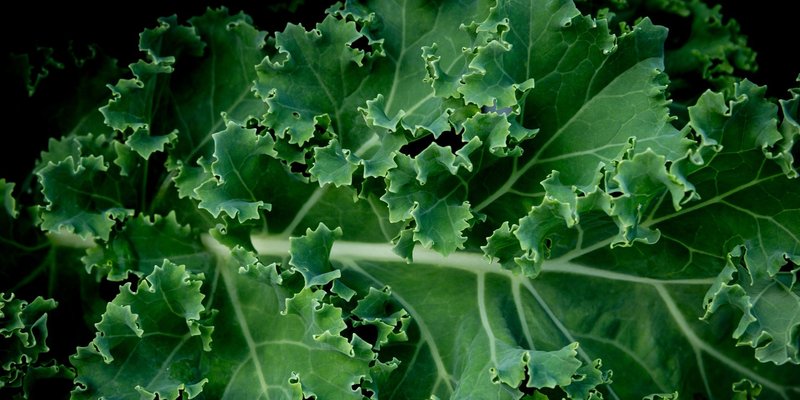 RECEPT Raštika sa suhim mesom