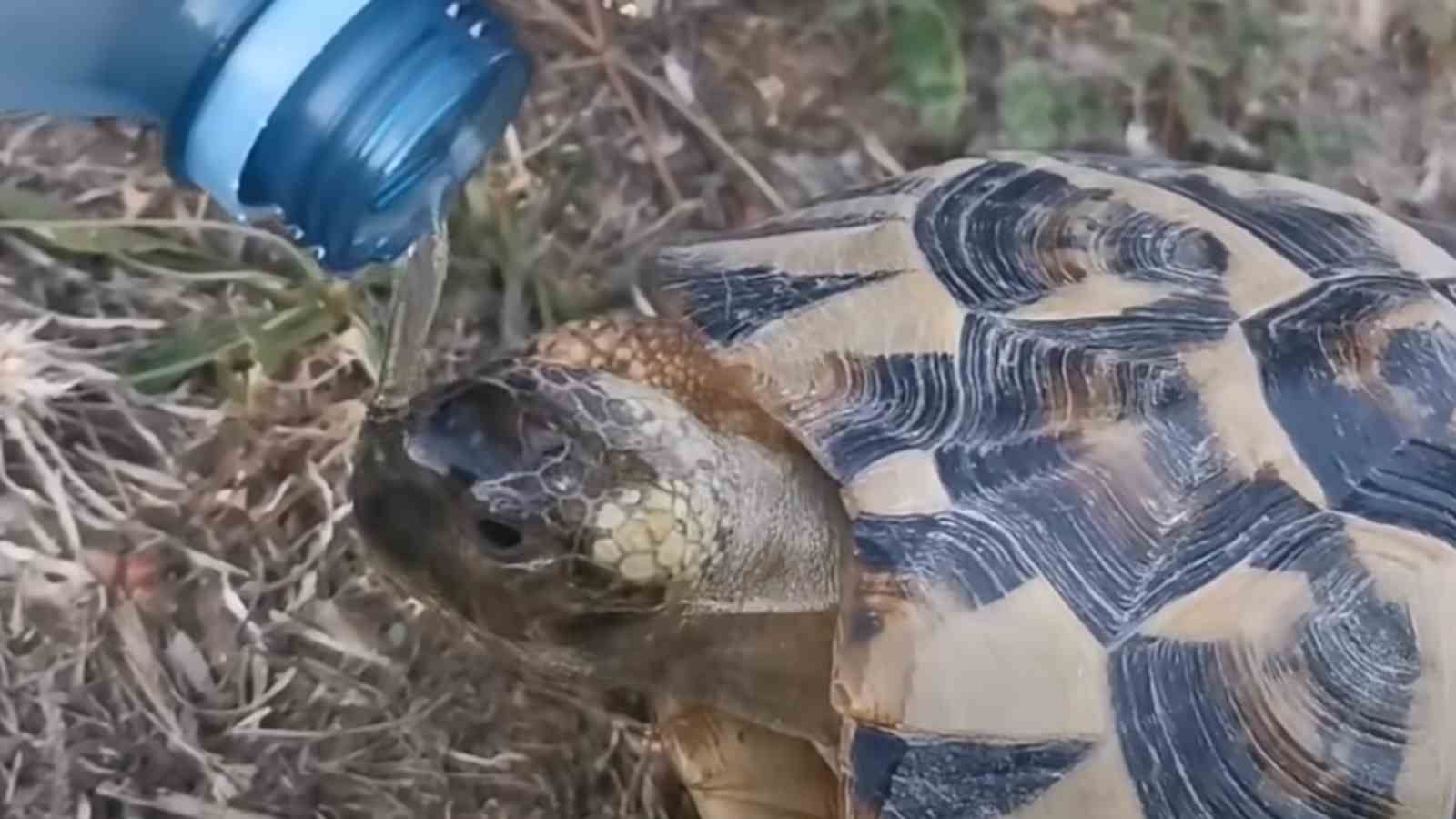 VIDEO Lijepa gesta Tomislava Bralića i klape Intrade osvojila društvene mreže