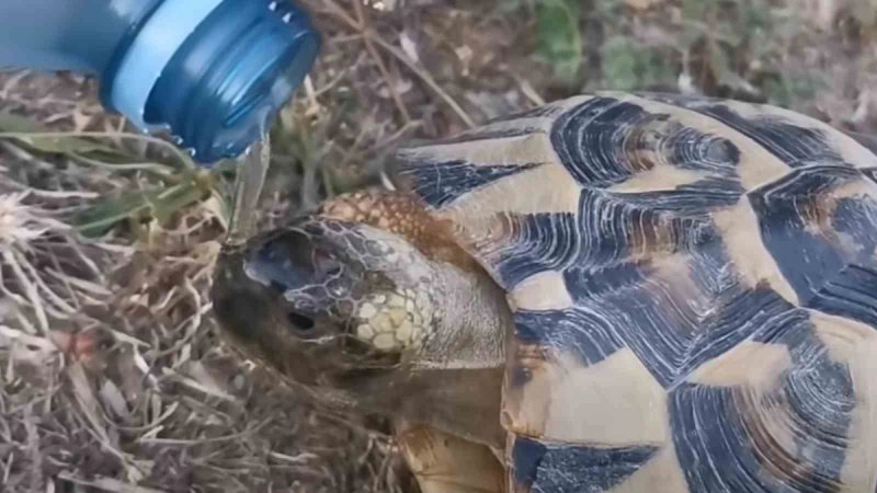 VIDEO Lijepa gesta Tomislava Bralića i klape Intrade osvojila društvene mreže
