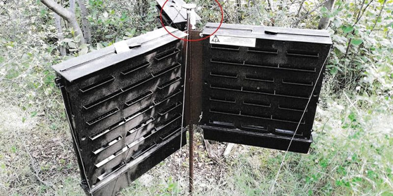 MOŽE LI GORE Inženjer šumarstva tvrdi da su feromonske klopke krivo postavljene i da je zbog toga u njima malo potkornjaka!