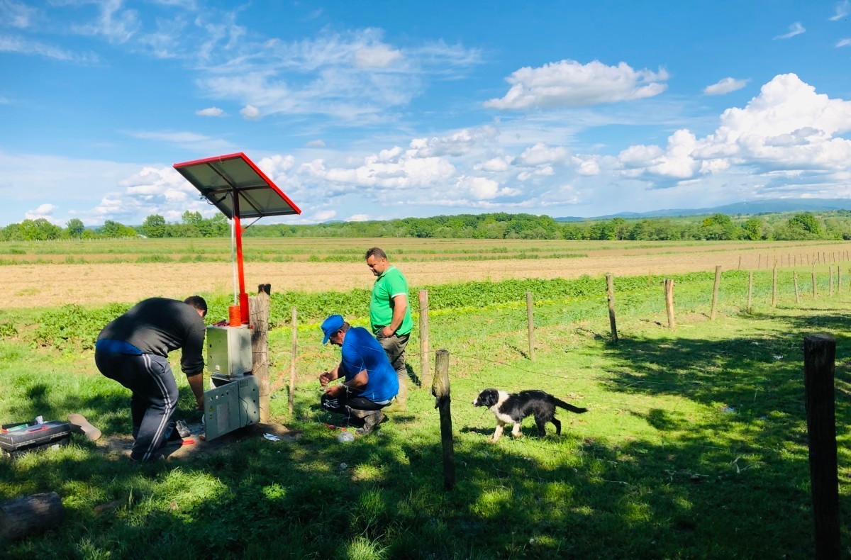 Za zaštitu blaga od vuka do 100.000 eura bespovratnih sredstava