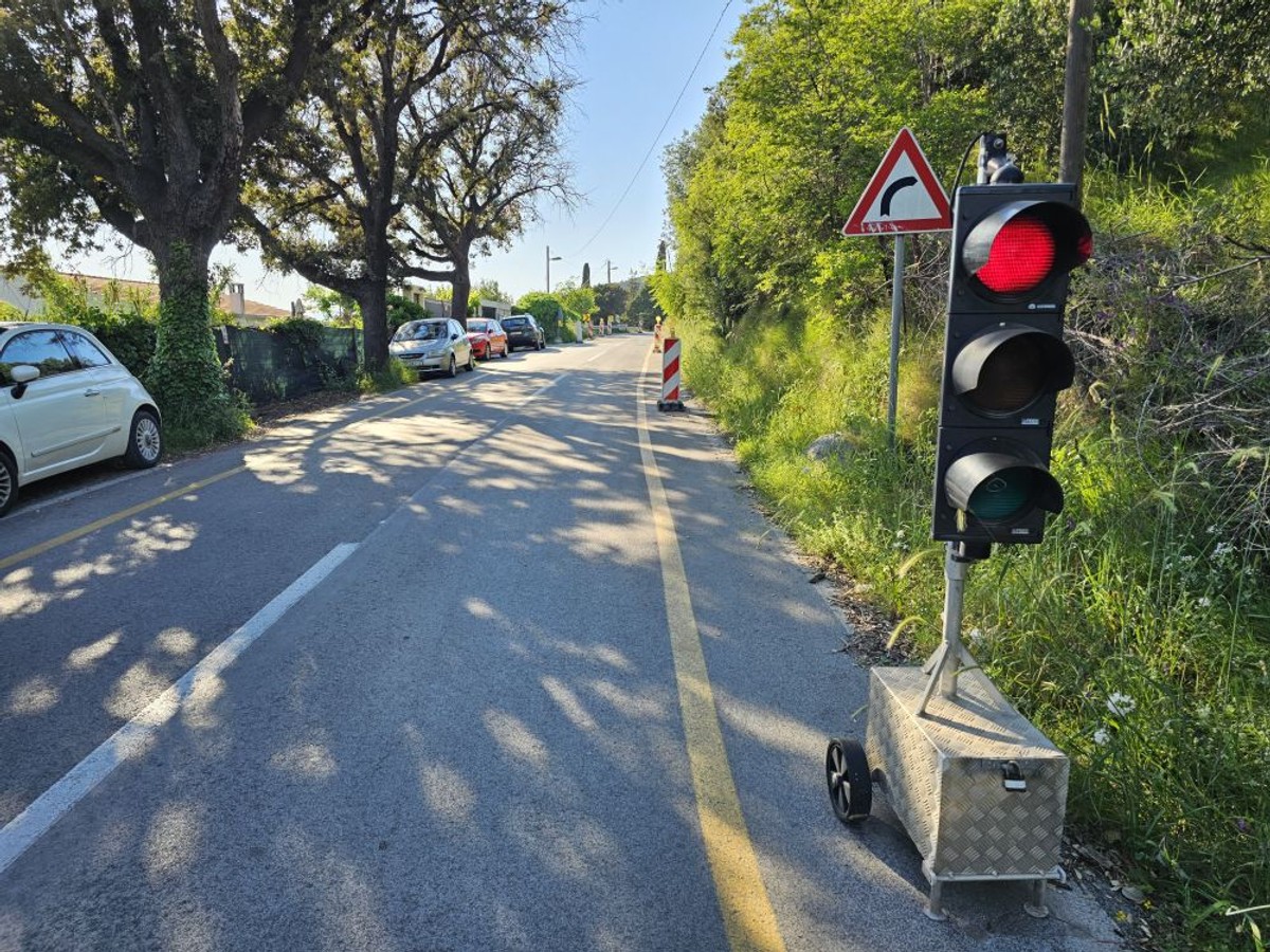 Marjan | foto: Joško Jaković