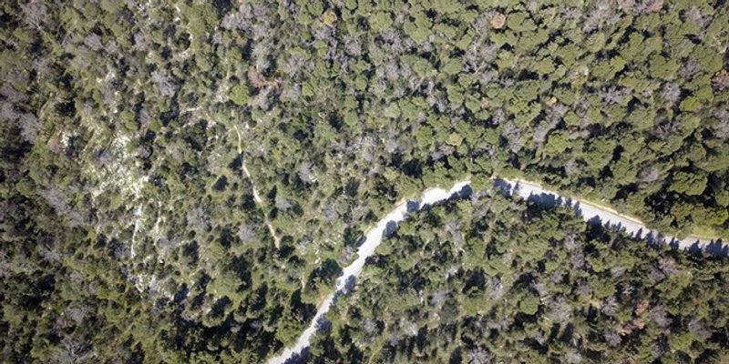 Grubšić: Možemo li se konačno svi uhvatiti za isti štap i spasiti Marjan?