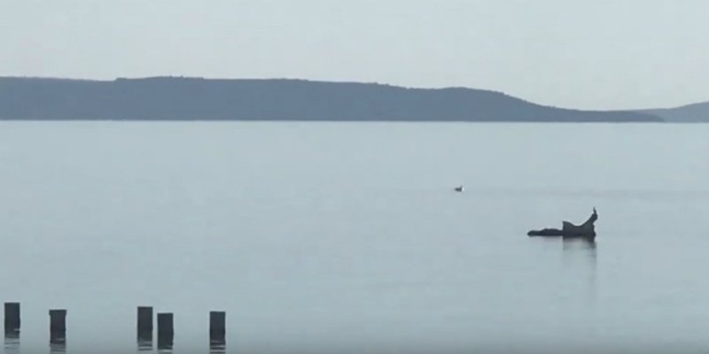 VIDEO Dupini stigli na Bačvice