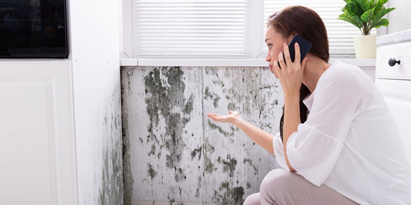 Maja Curavić iz Brodarice riješila problem vlage i plijesni u svojoj kući