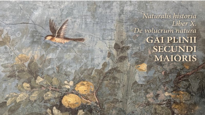 PRVI HRVATSKI PRIJEVOD PLINIJEVE KNJIGE O PTICAMA: ‘O letećim bićima’
