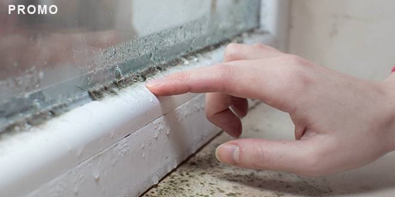 Dugoročno rješenje protiv vlage u kućanstvima - decentralizirani ventilacijski sustavi