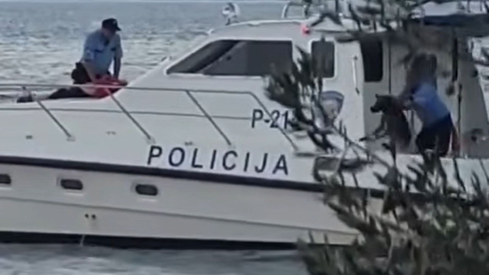 Reakcija Prijatelja životinja na šokantnu snimku policajca koji baca psa u more: 'Pas nije kriv za sudbinu svojeg skrbnika'