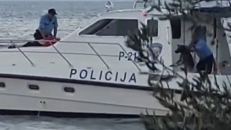 Reakcija Prijatelja životinja na šokantnu snimku policajca koji baca psa u more: 'Pas nije kriv za sudbinu svojeg skrbnika'