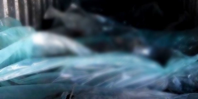 VIDEO Tijela Rusa noću utovaruju u vlakove u Bjelorusiji, objavljene snimke iz mrtvačnice