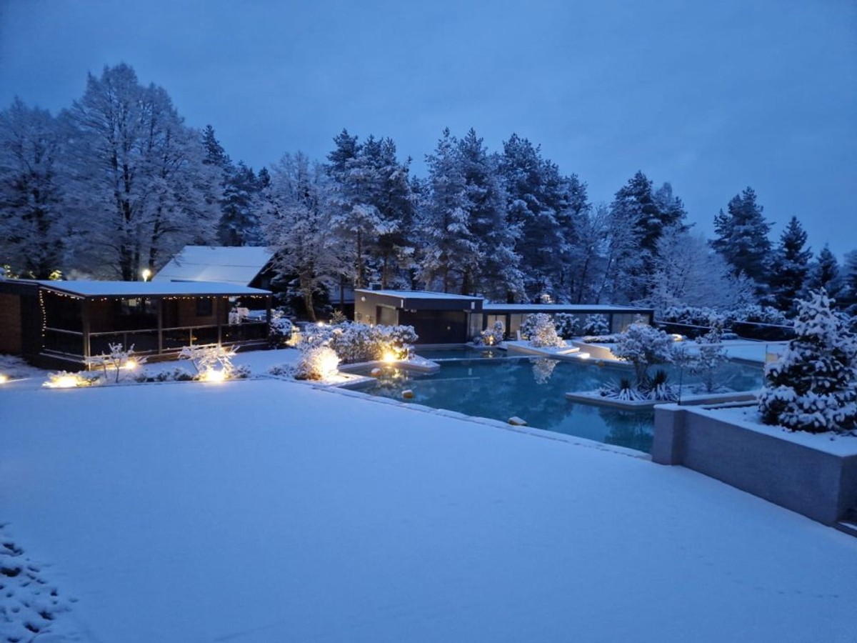 Kućice među krošnjama