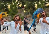 FOTO/VIDEO Splićanima i turistima ukrao pažnju: Na Ultru stigao s posebnom pratnjom