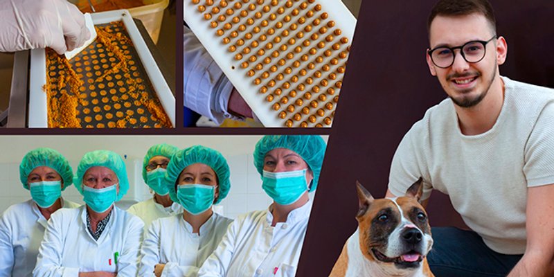 INOVACIJA S TTTS-a Splitska tvrtka proizvodi jedini propolis na svijetu za pse!