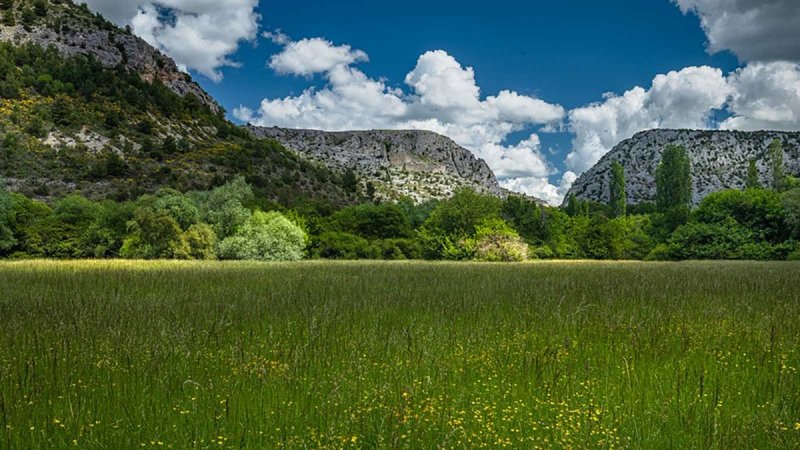 Stočarstvo koje čuva prirodu – novo vrednovanje starinskih pasmina u kršu