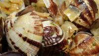 Nutricionistica Vranešić Bender: Školjke bismo trebali češće jesti