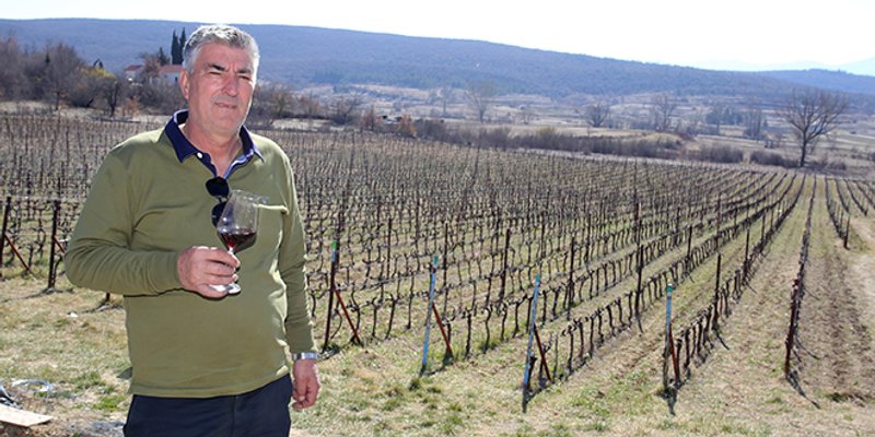 DOMOVINA CRLJENKA Dražan Krolo: Pokojni Zlatan Plenković me nagovorio da posadim vinograd u Strmendolcu