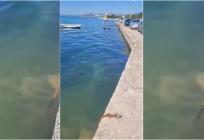 U dijelu Kaštela more zagađeno opasnom bakterijom, nije za kupanje