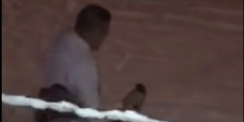 GENIJALNA SNIMKA Ovako se čisti snijeg u Imotskoj krajini