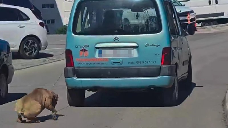UZNEMIRUJUĆA SNIMKA Muškarac po Šibeniku kroz prozor vozila na lancu vukao psa