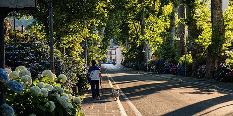 U ozelenjivanje gradova se kroz 46 projekata planira uložiti preko 15 milijuna eura