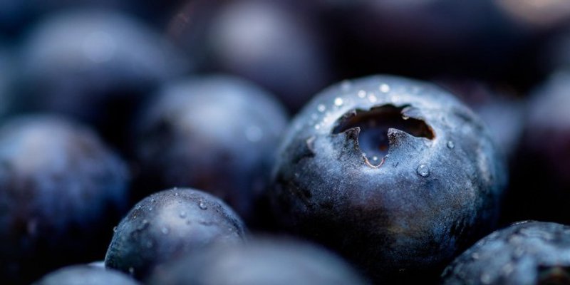 RECEPT Slatka focaccia s borovnicama