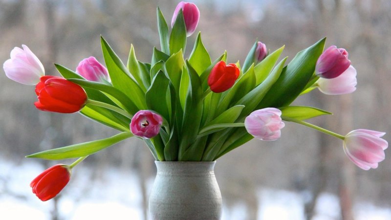 Kako da buket na stolu traje dulje i izgleda svježe danima?