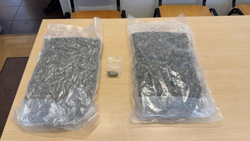 Policija zaustavila mladića na A1, uslijedio šok! Pas nanjušio hrpu droge u autu
