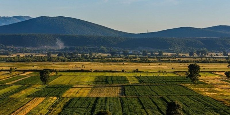 Čak 272 javna natječaja za zakup poljoprivrednog zemljišta