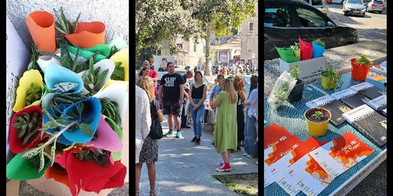 PODRŠKA IZ SPLITA: Udruga Feniks podijelila 529 sukulenata u sjećanje na osobe koje su počinile samoubojstvo